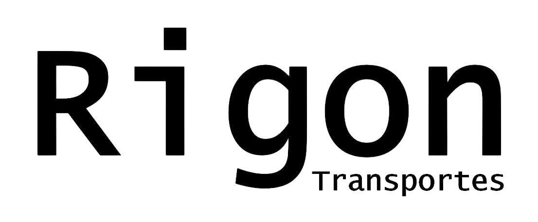 logo2fundo-removebg (1) - Vinícius Rigon